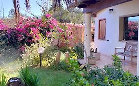 Casa Armas